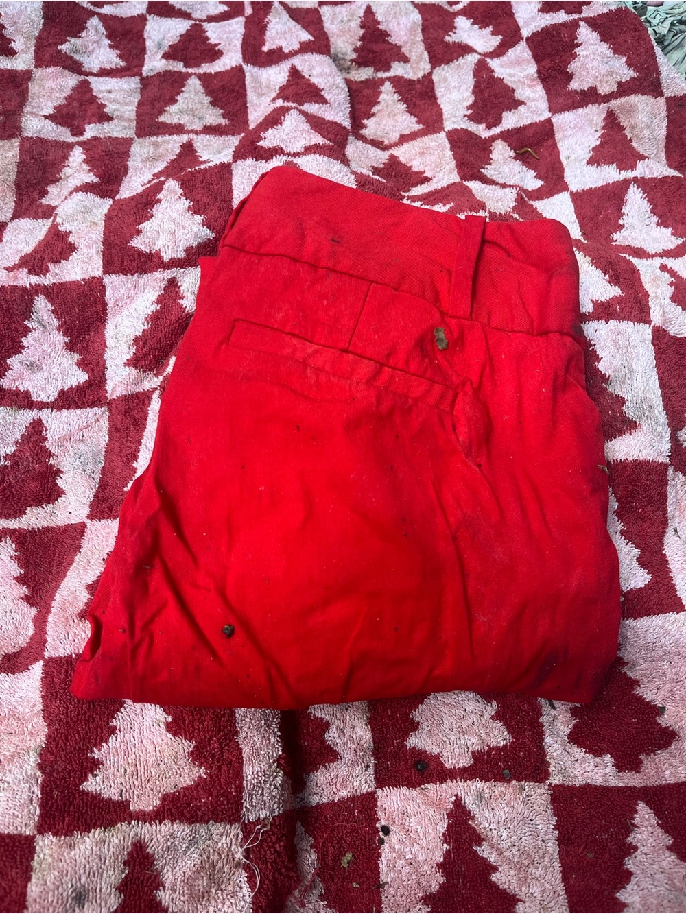 Woman’s Red Casual Pants